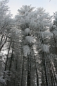 Bieszczady 12.2007 045